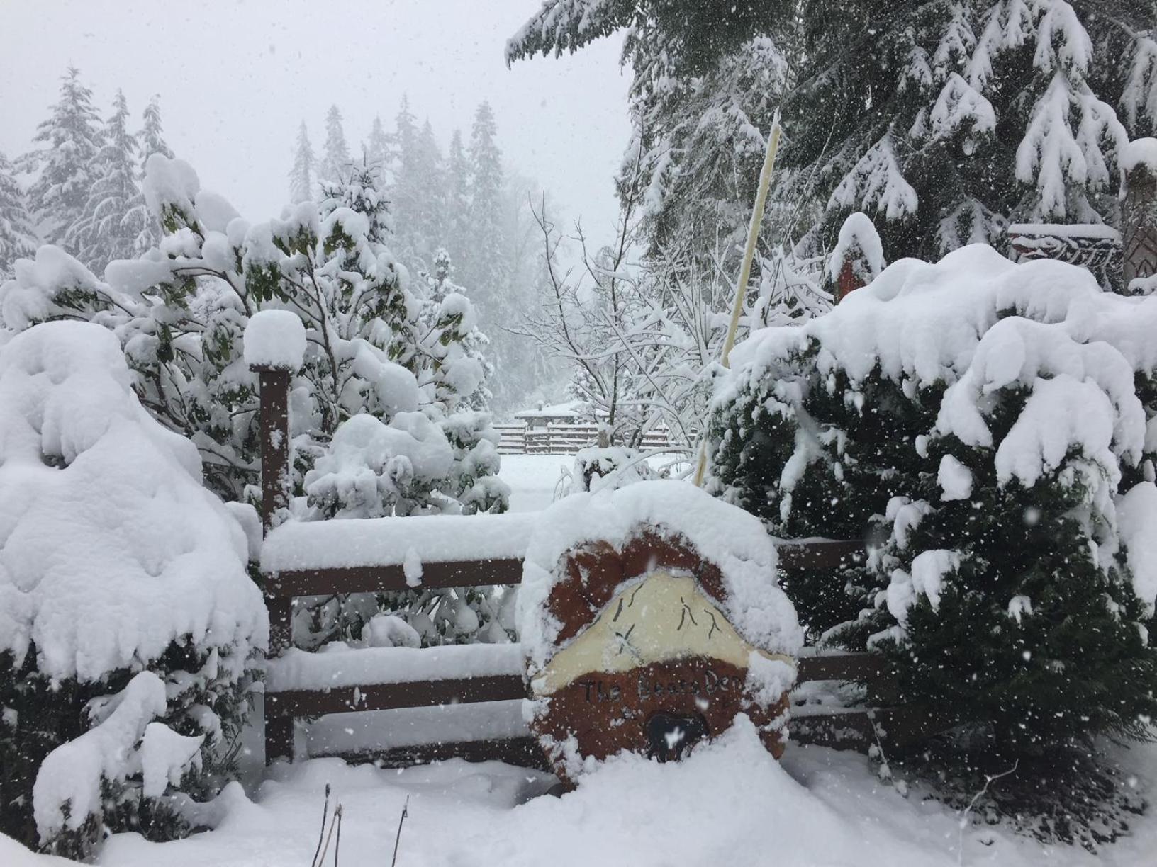 Bear'S Den Hideaway With Hot Tub Villa แอชฟอร์ด ภายนอก รูปภาพ